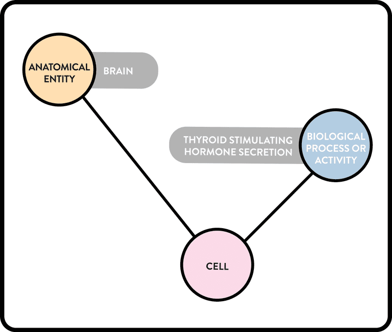 Graphical representation of simple linear query of ROBOKOP KG